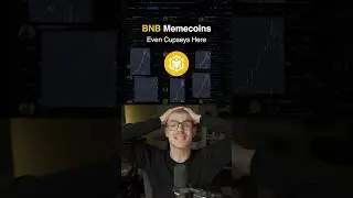 BNB memecoins on binance smart chain (BSC) are EXPLODING RN