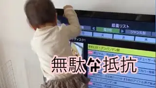 赤ちゃんのテレビ対策にはこれ！その2【生後525日】