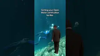 Get certified with us! 🤿 #scubadiving #scuba #cenote #yucatan #gopro  #padi #paditv #gopromx