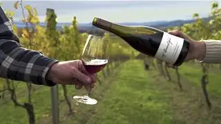 Mt. Beautiful Winery Homepage Video