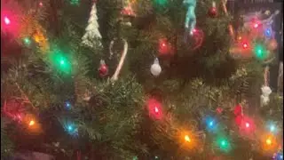 Cutting down a Christmas tree at a farm in Burlington  Connecticut