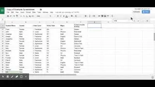 Google Sheets Find Data with CTRL + F