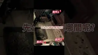 一隻兔子三間廁所 哪個好用呢?
