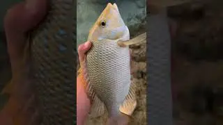 Fishing 14 mile camp on the Ningaloo reef