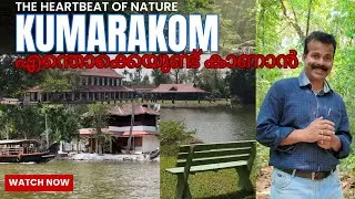 കുമരകത്ത് എന്തൊക്കെയുണ്ട് കാണാൻ ? KUMARAKOM TOURIST PLACES MUST WATCH 😍best tourist places in kerala