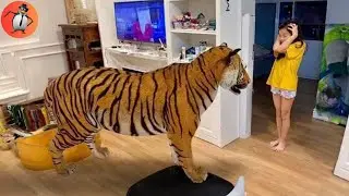 Wild animals invade people's houses