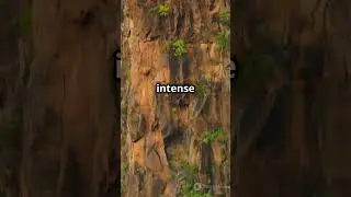 The Rock Cycle - 101 #geology #foryou #rockcycle #shorts #facts #science #knowledge #history #planet