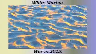 white marino - cute without the 