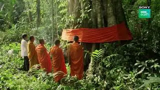Sony BBC Earth Add new| Feel Alive | by sony bbc earth 2023 &copy;