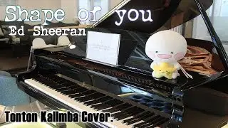 Ed Sheeran - Shape of you (Covered by Tonton Kalimba)
