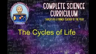 The Cycles of Life