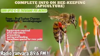BEE KEEPING / Basic to Advance information , (Tools , techniques , equipment , precautions , food )