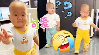 【超萌双胞胎】弟弟献零食反遭哥哥“铁砂掌”，立马化身复仇战士追讨公道，妈妈举着半块饼干懵圈：“这年头送礼风险这么高？”