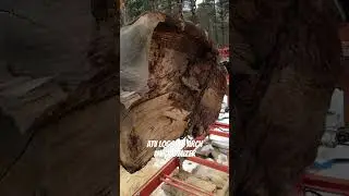 #DreamScreenAI #woodmizersawmill #ATV #logging #johndeere #bandsaw