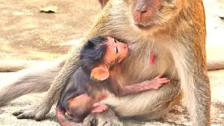 A Loving Mother Lifts Her Baby to Safety on the High Place