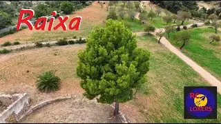 DJI MINI 4 PRO MAIDEN | RAIXA - MALLORCA | RCLOKERS