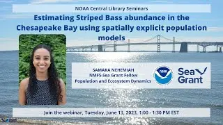 Estimating Striped Bass abundance in the Chesapeake Bay using spatially explicit population models