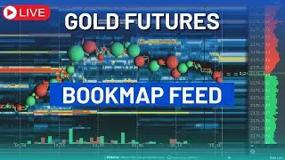 LIVE #Gold Futures #Bookmap Feed