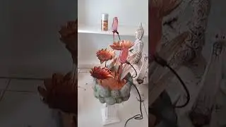 Cada vez m&aacute;s cerca las tercera sucursal!!! Estamos felices!!!!