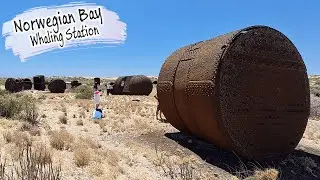 E82 - An Abandoned Whale Station (Norwegian Bay) and Coral Bay