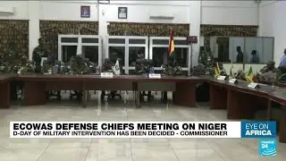 ECOWAS military force ready to intervene 'anytime order is given' &bull; FRANCE 24 English