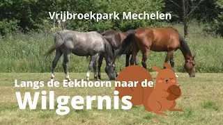 Langs de Eekhoorn naar de Wilgernis