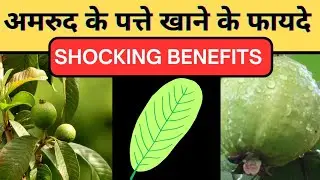 अमरुद के पत्ते खाने के फायदे 🤩Health Benefits of Guava Leaves @Behappy2 