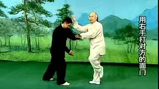 张炳斗老师的螳螂拳一路摘要6