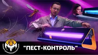 Пест контроль