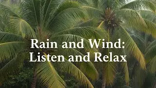  rain in dominican republic #peacefulwaves #sea #nature #relax #waves #youtubeshorts #rain #noise 