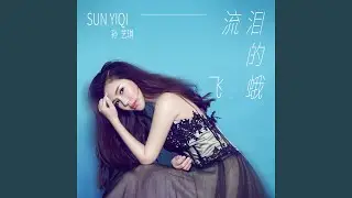 流泪的飞蛾 (DJ何鹏版)