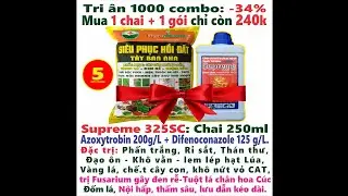 #CHNN 205a. Cách trị Phấn trắng, Thán thư, Sương mai, chấm kim, vàng lá, Rỉ sắt, Đạo ôn, Khô vằn...