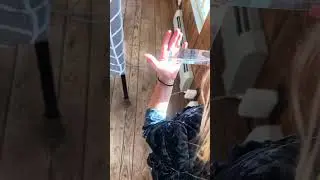 CC CYCLE 2 Week 7 Science Experiment Bonus - Prism Light