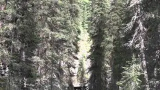 Johnson's Canyon
