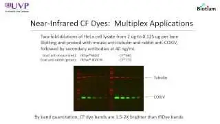 Webinar: 