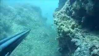 gara ilovepescasub