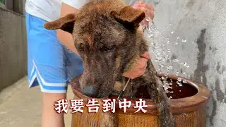 安保系统急需降温