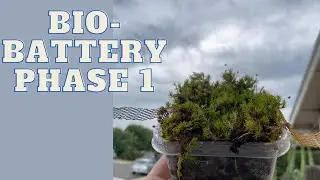 BIO BATTERY PHASE 1