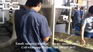 Jinan DG Twice Extrusion 2d Flower Shape Snack Pellets Papad Fryums Machine Maker Production Line
