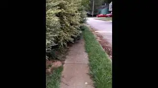 Code enforcement fail