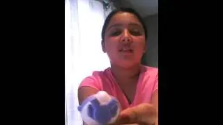 Littlest Pet Shop Fashems