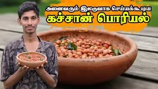 கிராமத்து முறையில் மொறு மொறு நிலக்கடலைப் பொரியல் 🥜 #vannivillage #villagecooking #peanutrecipe   