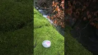 #positivenoteleaving