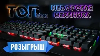 Крутая дешёвая механика | Обзор игровых клавиатур Oklick 920G IRON EDGE и Oklick 940G VORTEX
