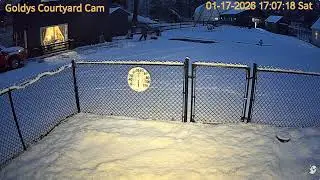 Goldy's Courtyard 504pm Justin  Willow out snow shoveling bld 1172026