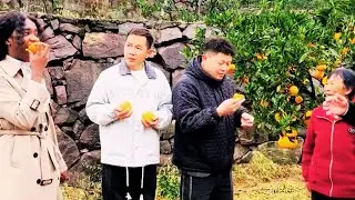 Brother Zhan takes Angela and Jin Tao to sell oranges