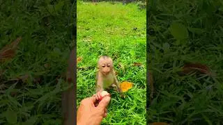 Adorable Cute Kindra Acts & Katrina With Kenzo & Kendra