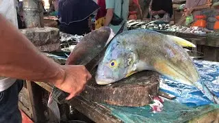 Amazing Sharp Knife Skills, Cutting Big Fish In Asian Market | Fish Cut Videos