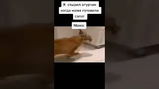 мем #444
