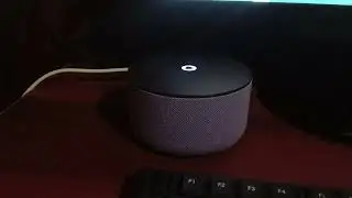 Искусственный интеллект о Николаевских голубях...
